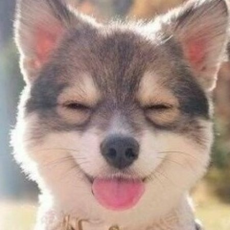 Вячеслав Арбузов