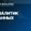 Аналитик данных