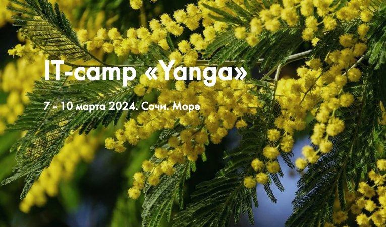 IT-camp "Yanga"