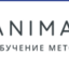 Школа самопознания Animaway